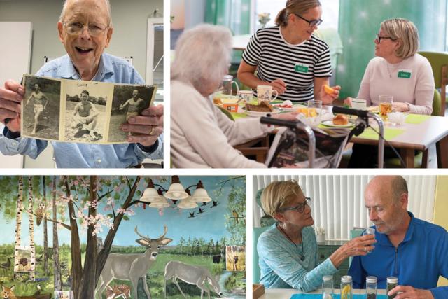 Montessori for elder and dementia care book cover images