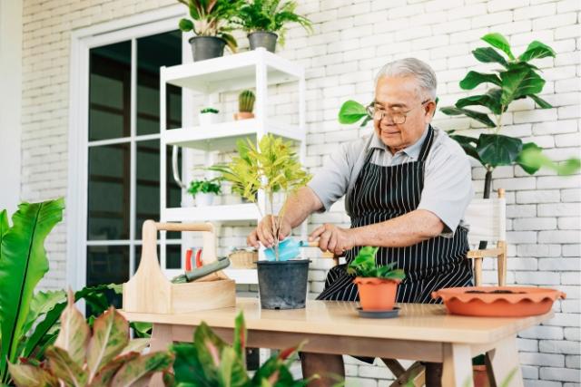 Elderly man gardening