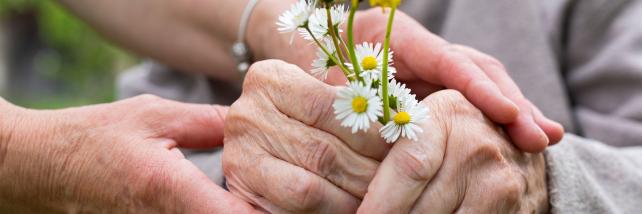 Elderly hands holding flowers